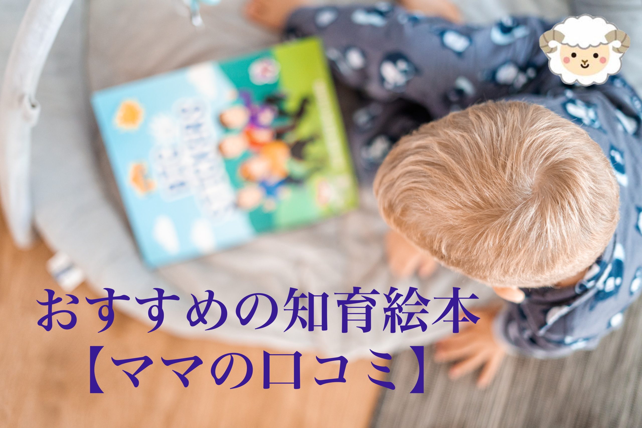 ０ ３歳におすすめの知育絵本 知育ママの口コミ パパママのための育児 教育情報サイト Misora Baby